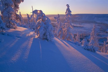 Последние золотые лучи уходящего зимнего солнца. Якутия. Оймяконский район — Якутия — фотограф Владимир Рябков