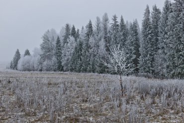Нижегородская область — Нижегородская область — фотограф Владимир Рябков