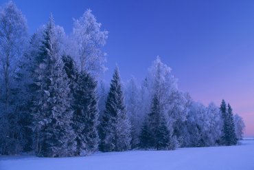 Нижегородская область — Нижегородская область — фотограф Владимир Рябков