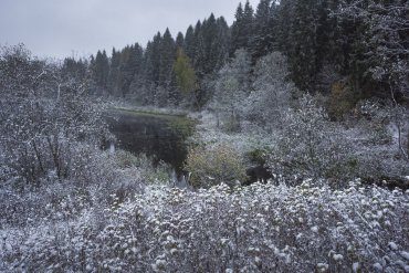 Андреапольские озера — Андреапольские озера — фотограф Владимир Рябков