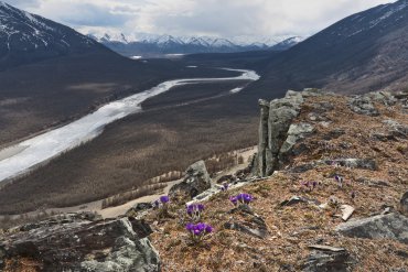 Река Индигирка — Река Индигирка — фотограф Владимир Рябков