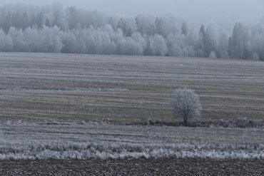 Нижегородская область — Нижегородская область — фотограф Владимир Рябков