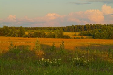 Нижегородская область — Нижегородская область — фотограф Владимир Рябков