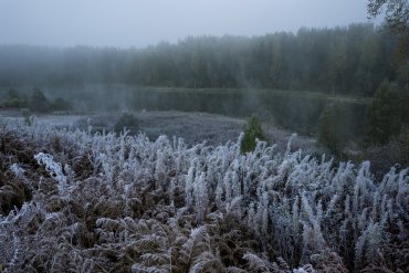 Андреапольские озера — Андреапольские озера — фотограф Владимир Рябков