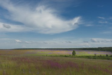 Костромская область — Костромская область — фотограф Владимир Рябков