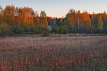 Нижегородская область — Нижегородская область — фотограф Владимир Рябков