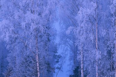 Нижегородская область — Нижегородская область — фотограф Владимир Рябков