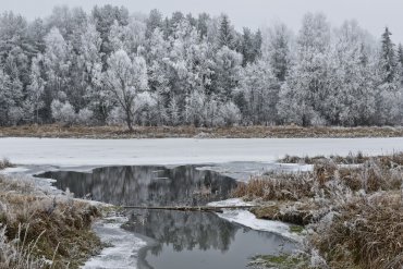 Нижегородская область — Нижегородская область — фотограф Владимир Рябков