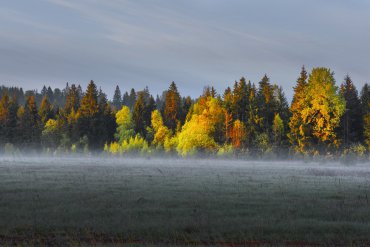 Андреапольские озера — Андреапольские озера — фотограф Владимир Рябков