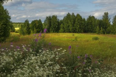 Нижегородская область — Нижегородская область — фотограф Владимир Рябков