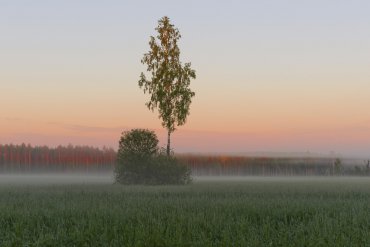 Нижегородская область — Нижегородская область — фотограф Владимир Рябков