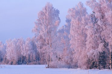 Нижегородская область — Нижегородская область — фотограф Владимир Рябков