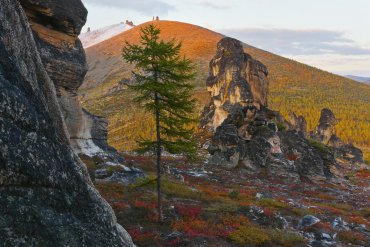 Полюс холода – Оймяконье — Полюс холода – Оймяконье — фотограф Владимир Рябков