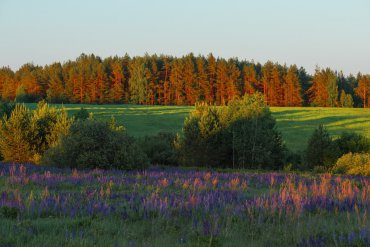 Нижегородская область — Нижегородская область — фотограф Владимир Рябков