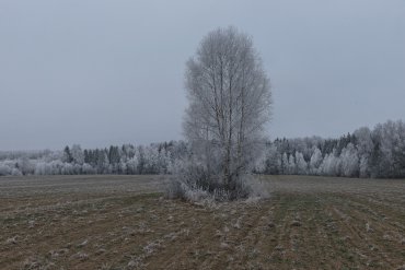 Нижегородская область — Нижегородская область — фотограф Владимир Рябков