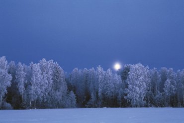 Нижегородская область — Нижегородская область — фотограф Владимир Рябков