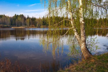 Подмосковье — Подмосковье — фотограф Владимир Рябков